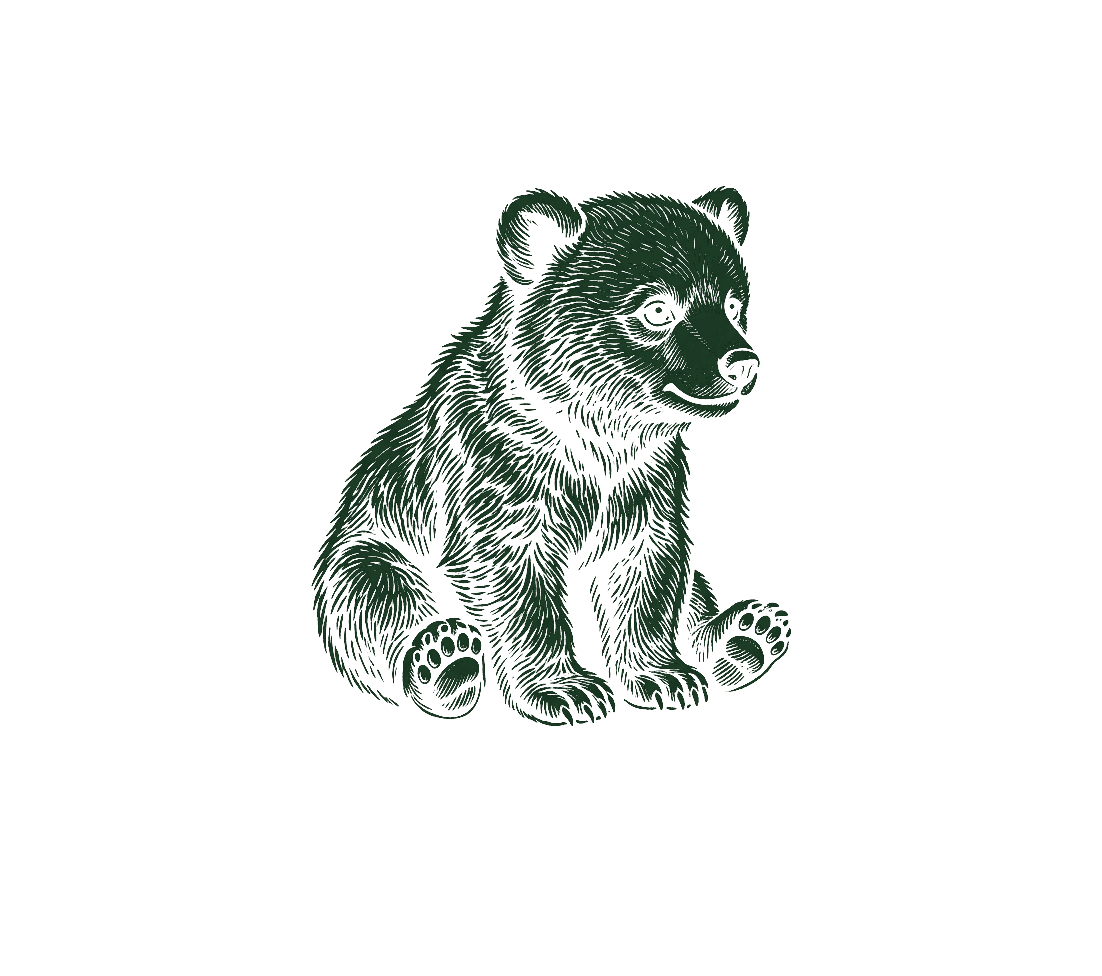 Bear character